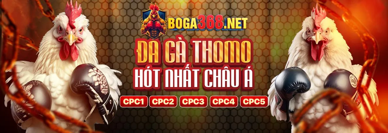 Đấu gà trực tuyến kịch tính tại Casino 999